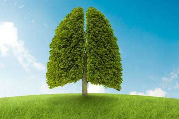 春季养肺 春季如何养肺 如何正确养肺